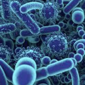 Not Just A Gut Feeling: The Growth of Gut Microbiome Investments