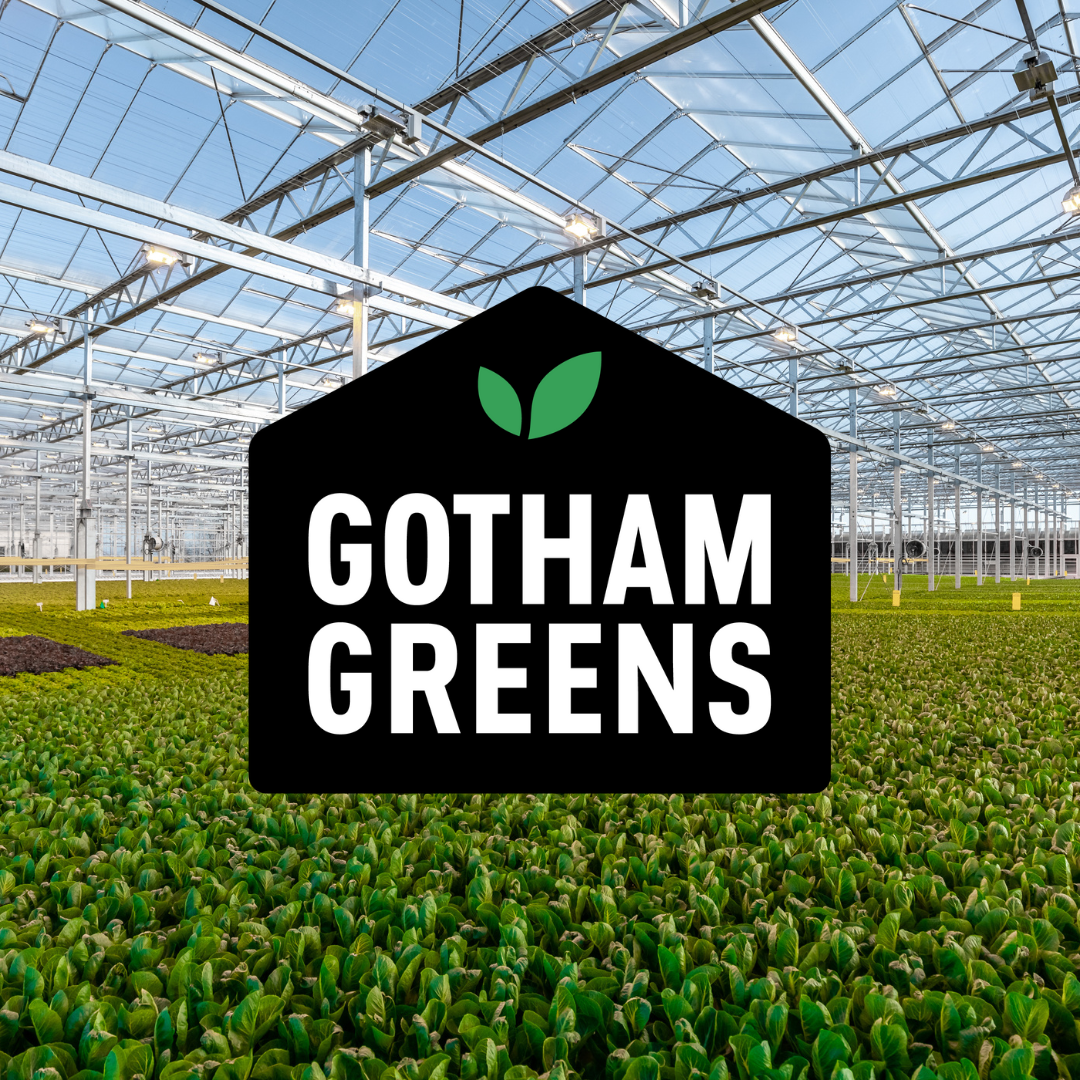 Gotham Greens Opens in Providence