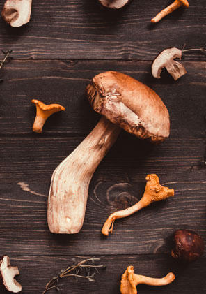 Mushrooms